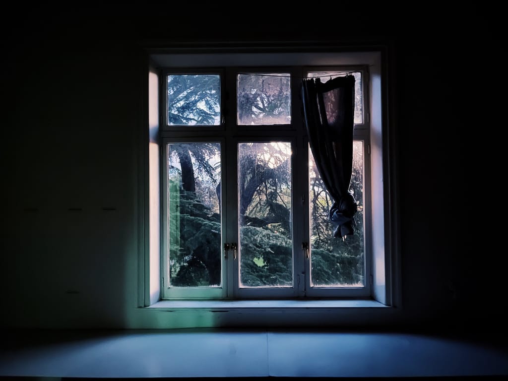 A picture of a window. It is dark around the window which has bright light streaming through and reveals tree branches.