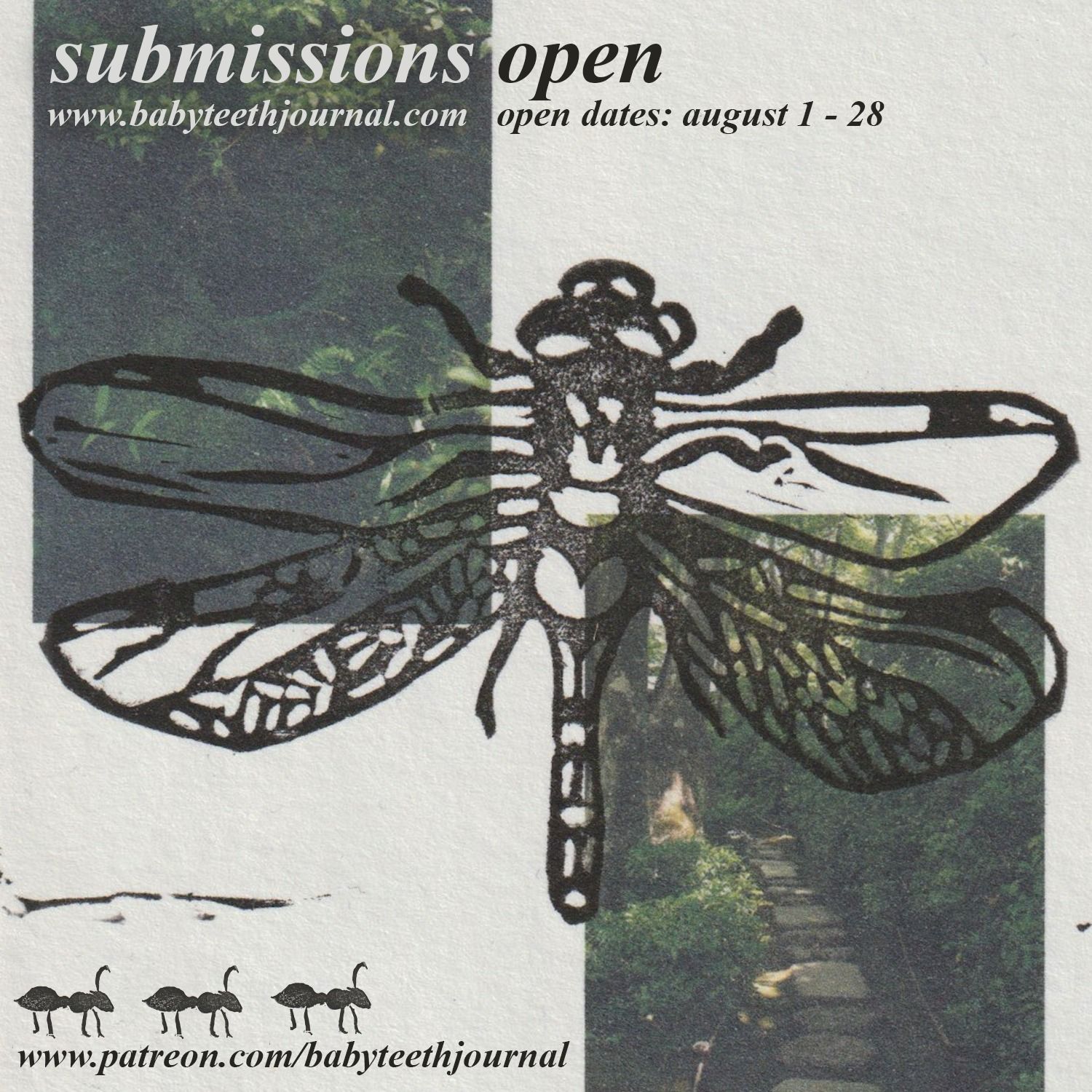 The poster is by the brilliant Louis Walker and depicts the outline of a dragonfly over two images of green forests.