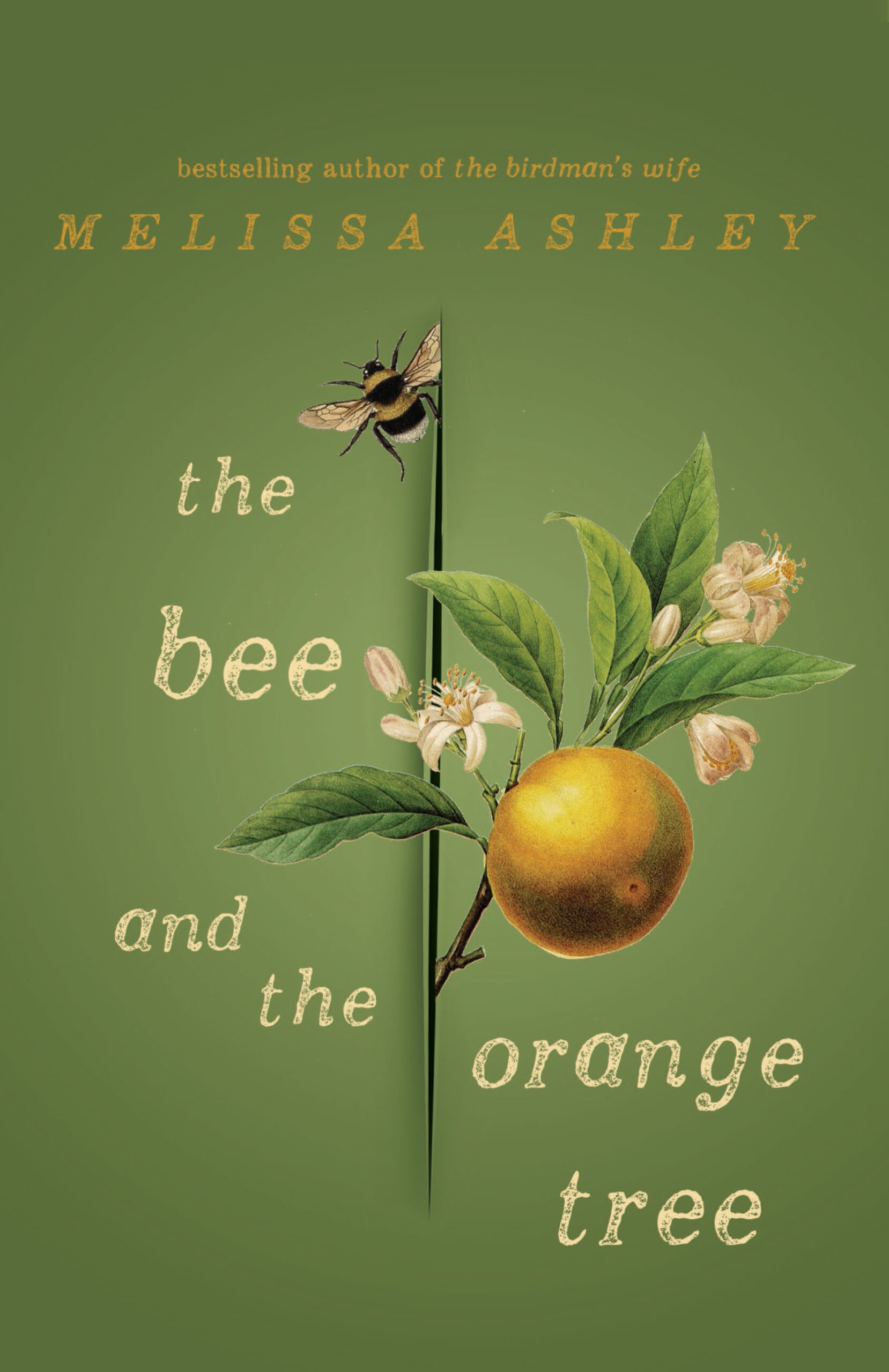 Q&A with Melissa Ashley on her novel ‘The Bee and the Orange Tree’